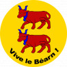 Vive le Béarn (20x20cm) - Sticker/autocollant