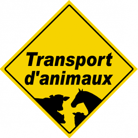 Transport d'animaux - 15x15cm - Sticker/autocollant