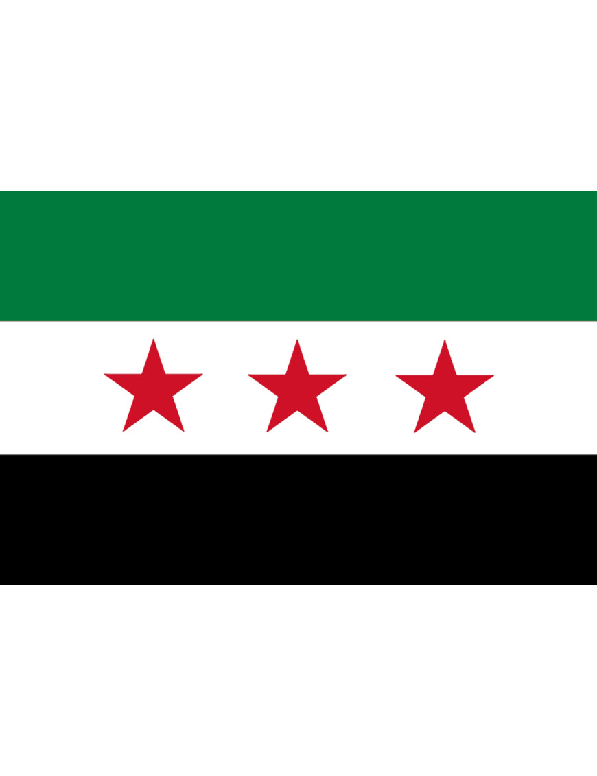 Drapeau Syrie (19.5 x 13 cm) - Sticker/autocollant