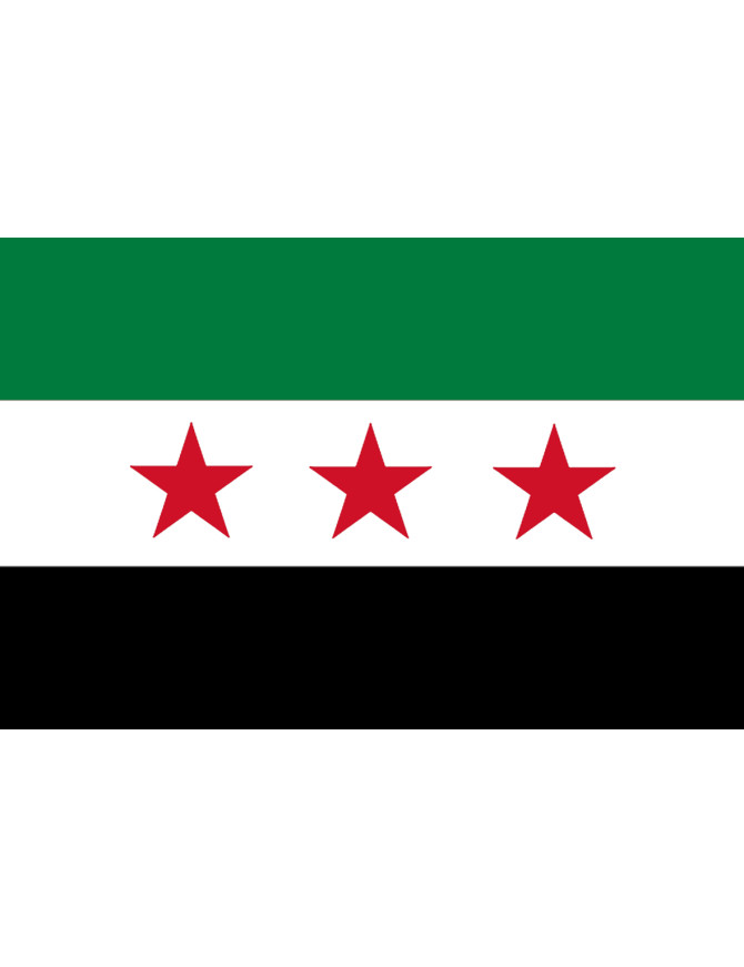 Drapeau Syrie (19.5 x 13 cm) - Sticker/autocollant